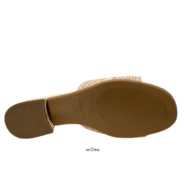 AvdB Damesschoenen slippers 50561 10.505 large