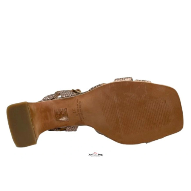 AvdB Damesschoenen sandalen 42447 61.424 large