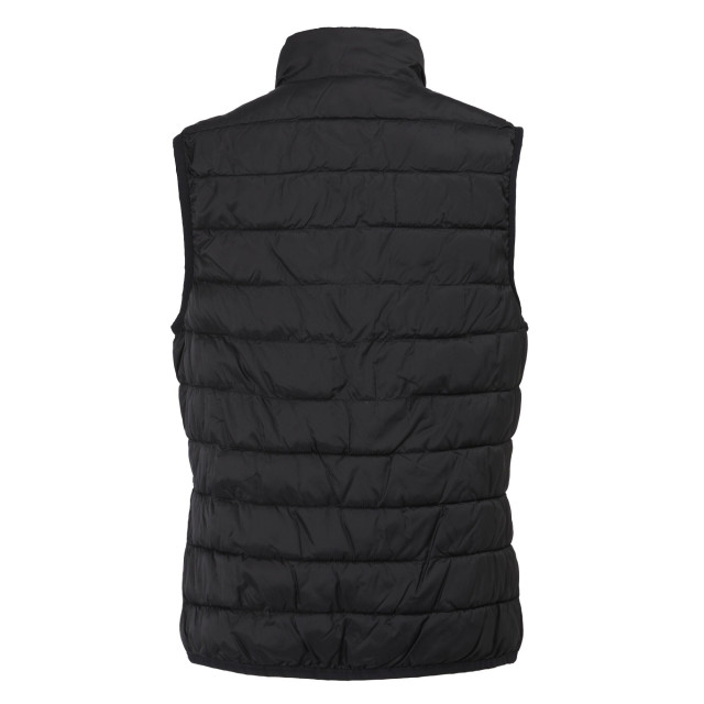Regatta Dames hillpack ii gilet UTRG10774_black large