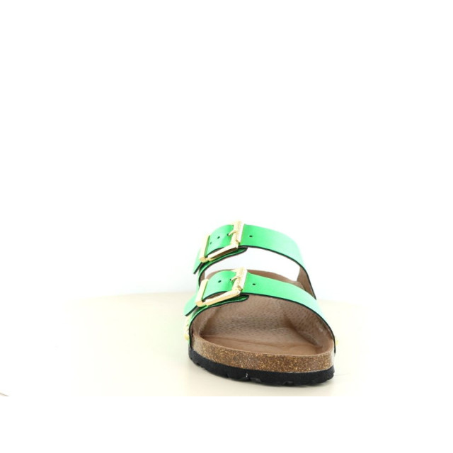 DWRS Label Malibu 281.70.031 large