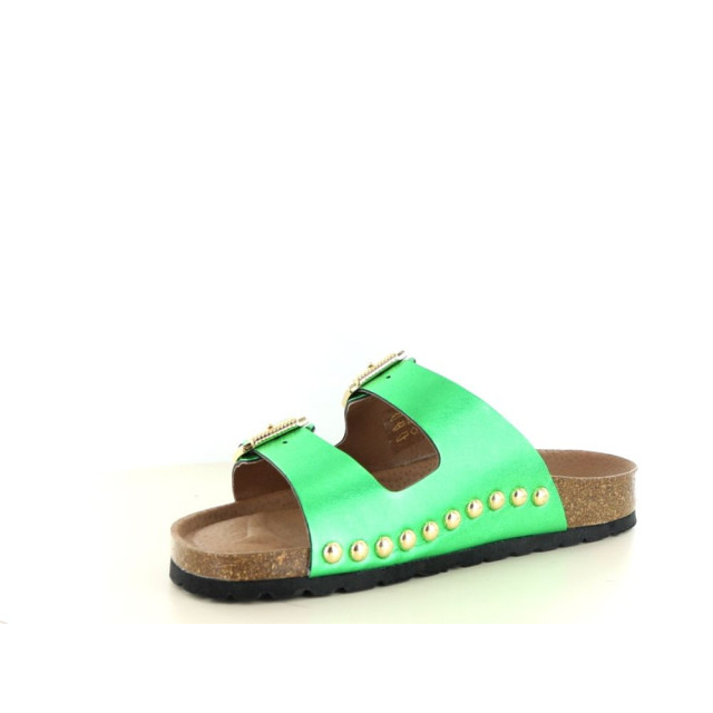 DWRS Label Malibu 281.70.031 large