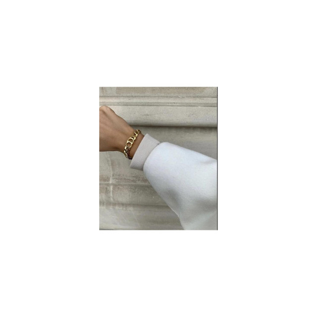 The Dezzy Factory CD Armband | Roestvrijstalen Gouden Armband 240008 large