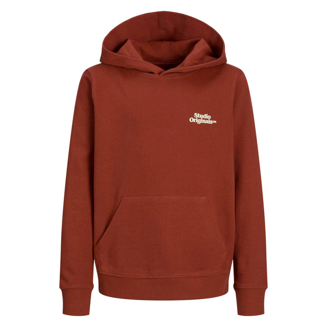 Jack & Jones Hoodie 12274622 Jack & Jones Junior Hoodie 12274622 large