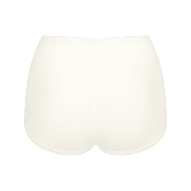 Sloggi Basic+ maxi 4-pack multi-colour v022 Sloggi Dames Basic+ Maxi 4 pack 10103326 V022 Multi Colour large