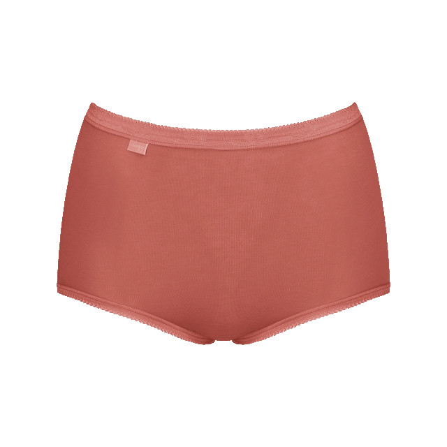 Sloggi Basic+ maxi 4-pack multi-colour v022 Sloggi Dames Basic+ Maxi 4 pack 10103326 V022 Multi Colour large