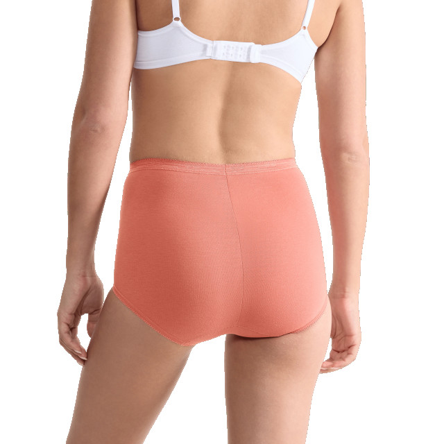 Sloggi Basic+ maxi 4-pack multi-colour v022 Sloggi Dames Basic+ Maxi 4 pack 10103326 V022 Multi Colour large