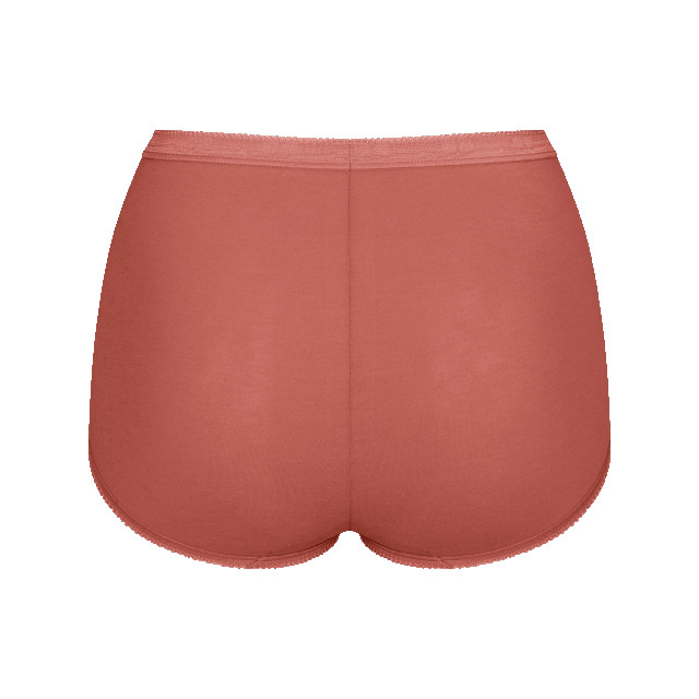 Sloggi Basic+ maxi 4-pack multi-colour v022 Sloggi Dames Basic+ Maxi 4 pack 10103326 V022 Multi Colour large