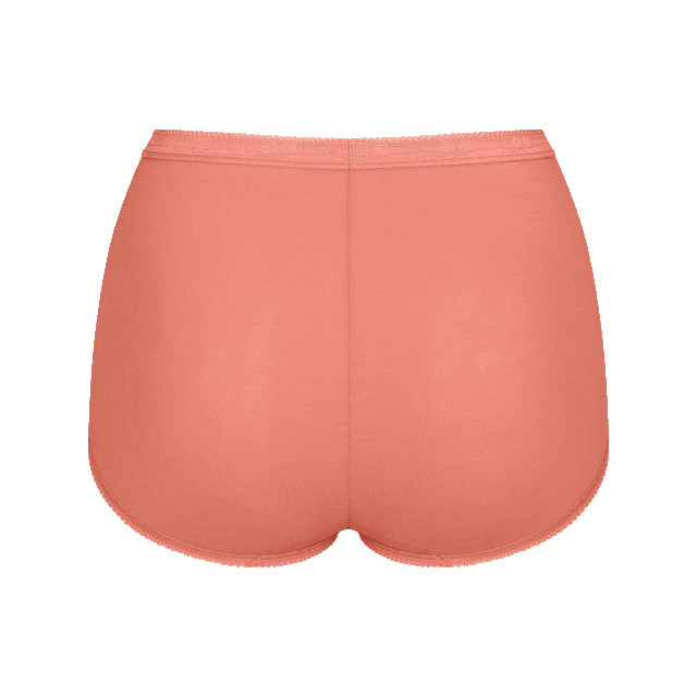 Sloggi Basic+ maxi 4-pack multi-colour v022 Sloggi Dames Basic+ Maxi 4 pack 10103326 V022 Multi Colour large
