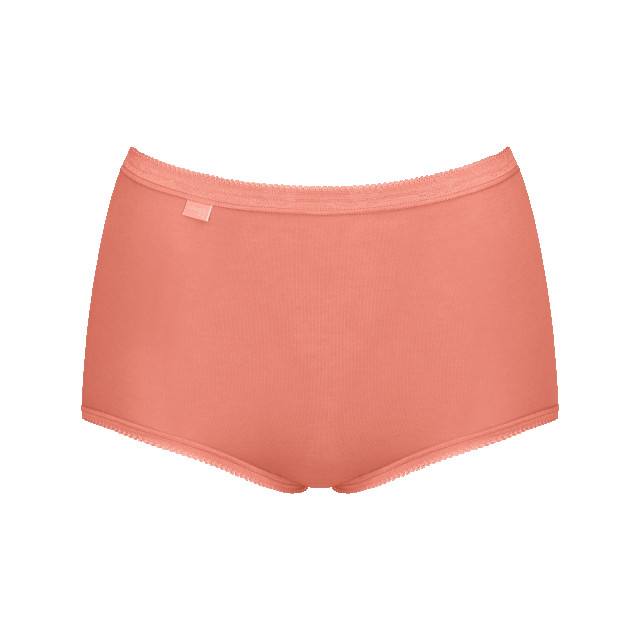 Sloggi Basic+ maxi 4-pack multi-colour v022 Sloggi Dames Basic+ Maxi 4 pack 10103326 V022 Multi Colour large
