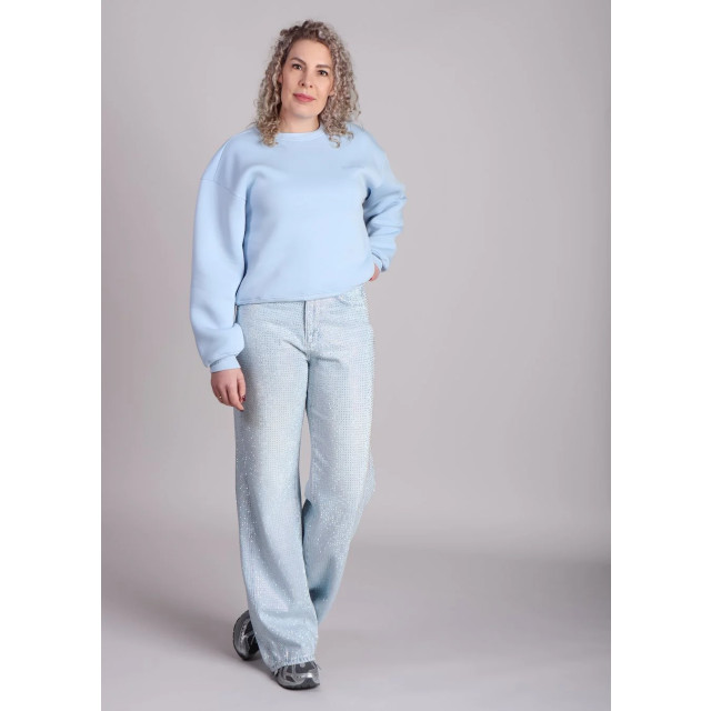 Homage to Denim Homage straight jeans h curved seams and strass 9317295718728 large Homage to Denim Homage straight jeans h curved seams and strass 9317295718728 large