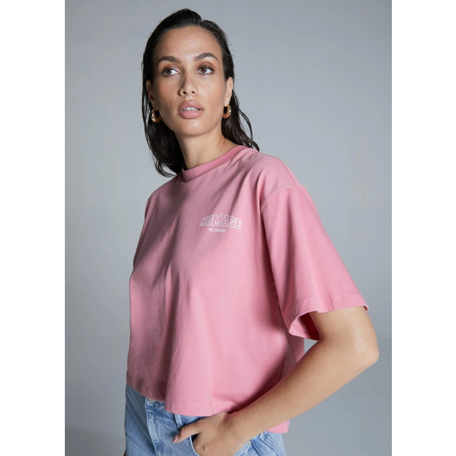 Homage to Denim Homage oversized tee logo 9311743017288 large