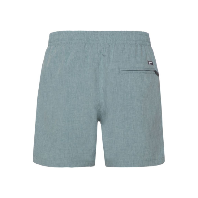 Protest davey beachshort zwemshort heren - 069601_300-S large