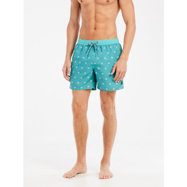 Protest parco beachshort zwemshort heren - 069603_300-S large