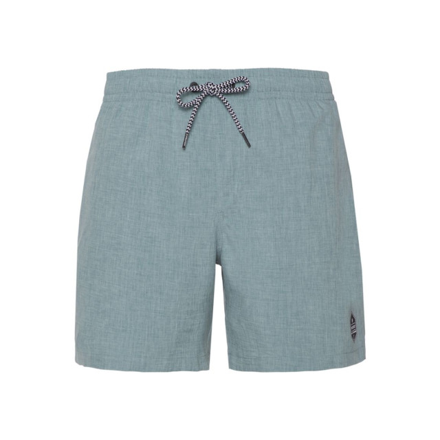 Protest davey beachshort zwemshort heren - 069601_300-S large