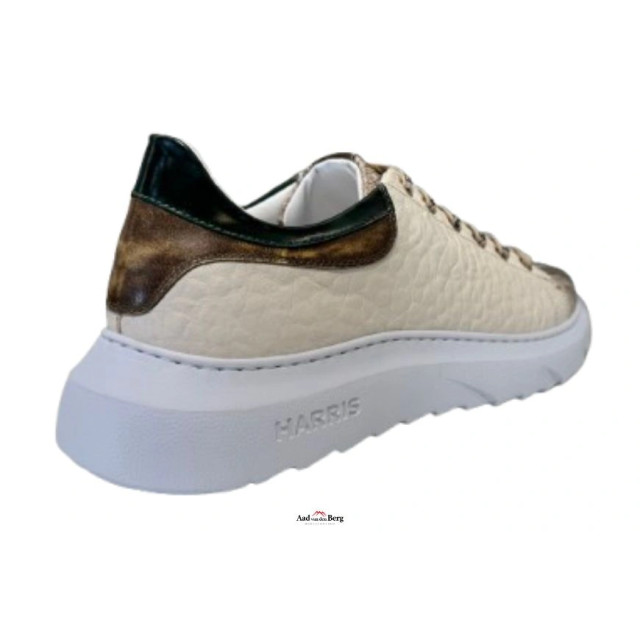 Harris Herenschoenen sneakers Paul 25 441 large