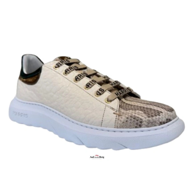 Harris Herenschoenen sneakers Paul 25 441 large