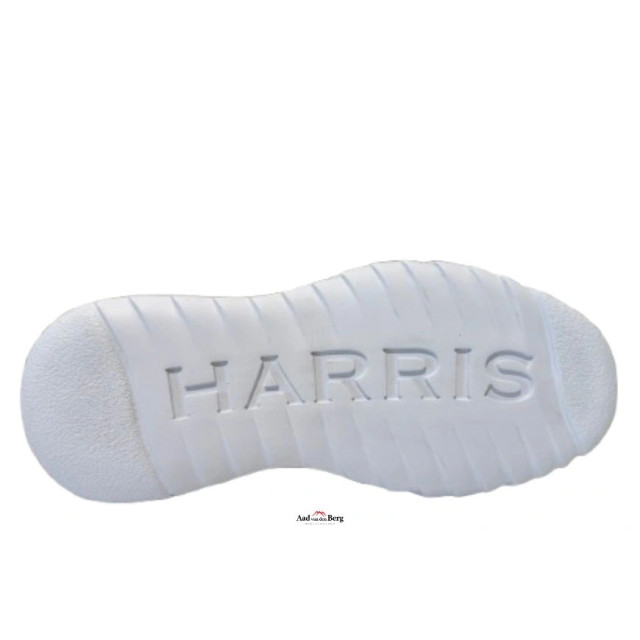 Harris Herenschoenen sneakers Paul 25 441 large