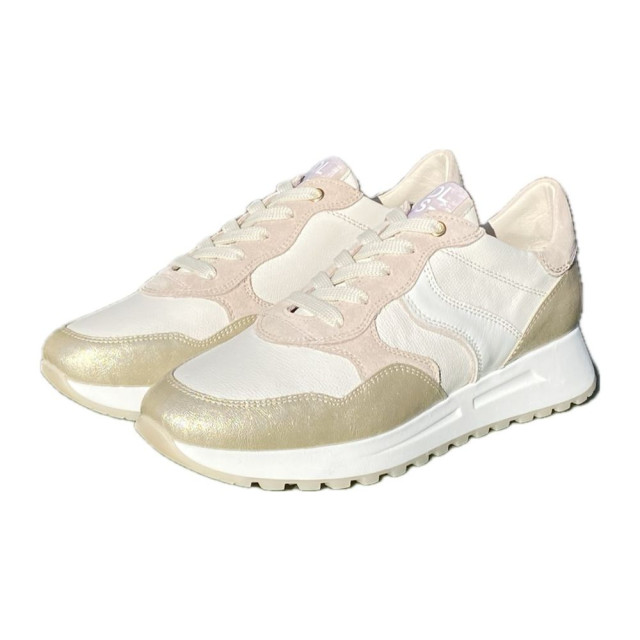 DL Sport Veterschoenen 6527 large
