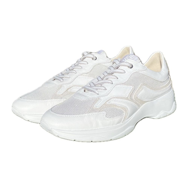 DL Sport Veterschoenen 6540 large