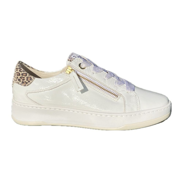 DL Sport Veterschoenen 6504 large