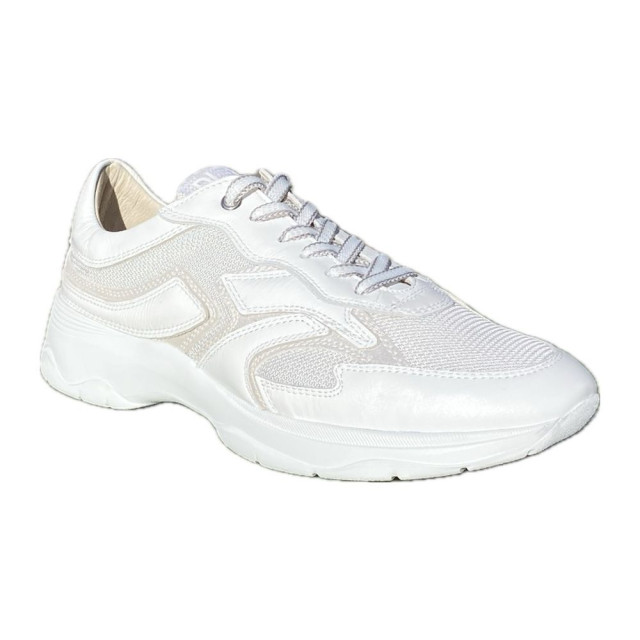 DL Sport Veterschoenen 6540 large