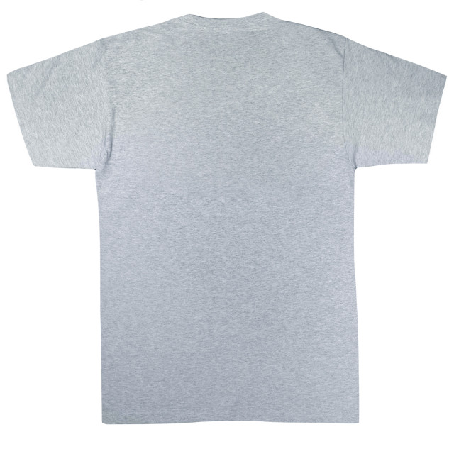 Li-cense Marvel meisjes avengers assemble team schets katoenen t-shirt UTBI2597_sportsgrey large