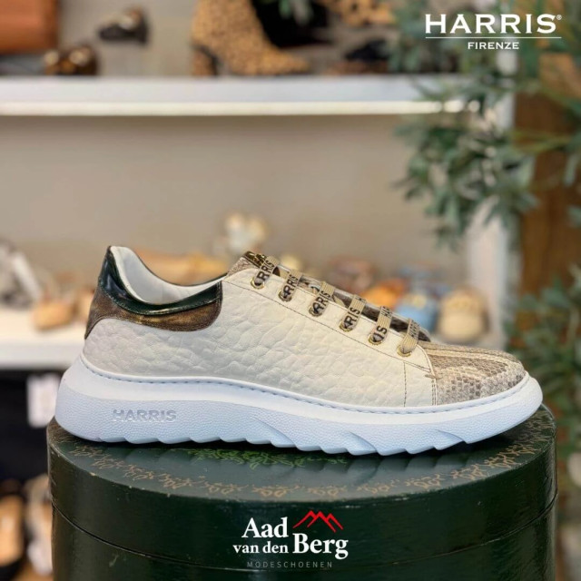 Harris Herenschoenen sneakers Paul 25 441 large