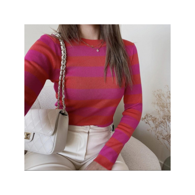 The Dezzy Factory Stripe top | roze 2400280 large