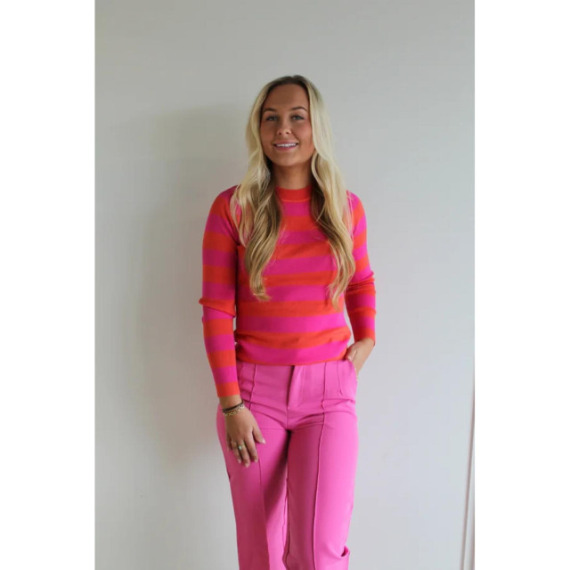 The Dezzy Factory Stripe top | roze 2400280 large