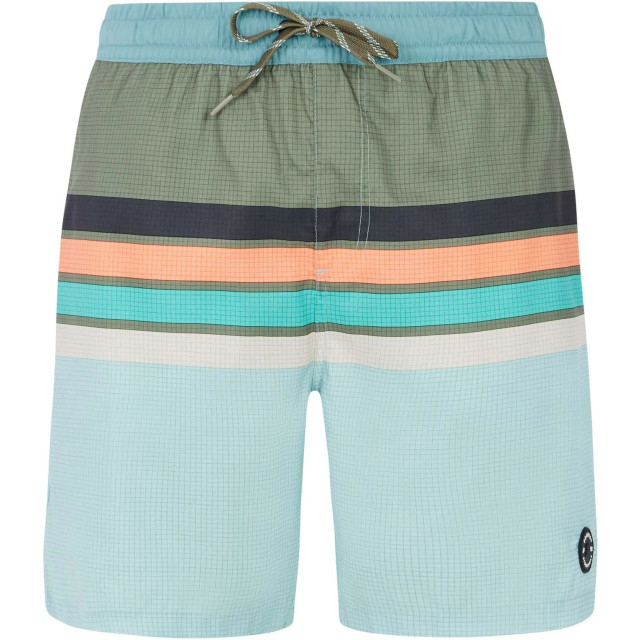 Protest avik beachshort zwemshort heren - 068420_300-S large