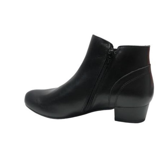 Verhulst 3431 3431 large