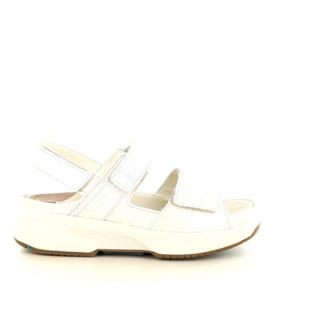 Xsensible 290.10.331 Sandalen Wit 290.10.331 large