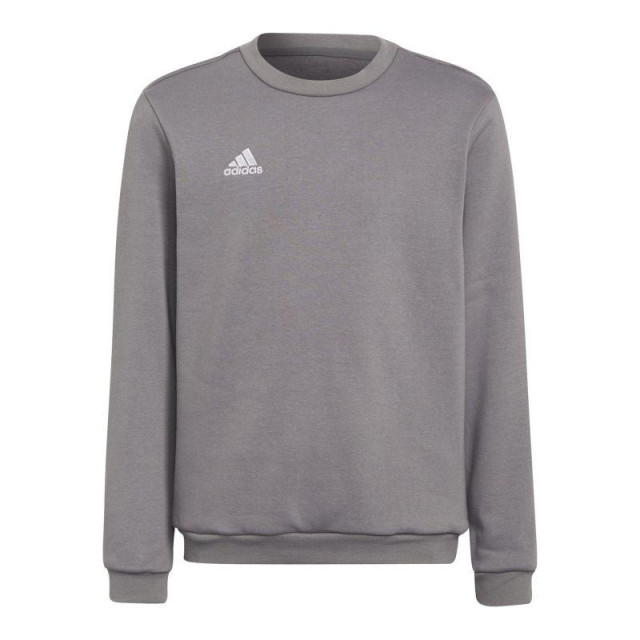 Adidas Kinderen/kinderen entrada 22 sweatshirt UTMR1434_grey large