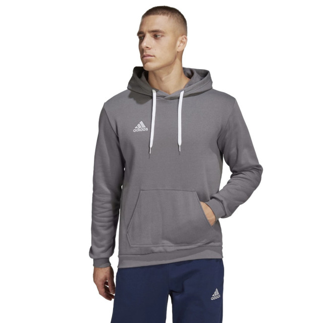 Adidas Heren entrada 22 hb0578 hoodie UTMR78559_greysilver large