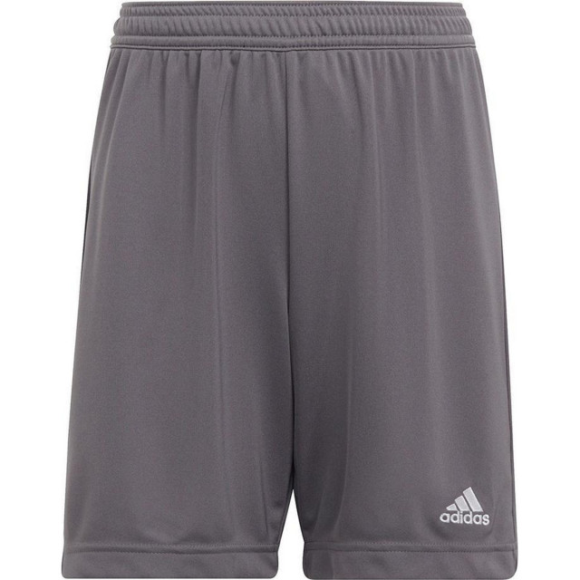 Adidas Kinderen/kinderen entrada 22 korte broek UTMR78531_grey large