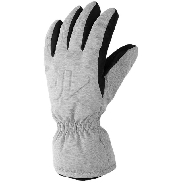 4F Dames aw23afglf099 skihandschoenen UTMR78458_grey large 4F Dames aw23afglf099 skihandschoenen UTMR78458_grey large