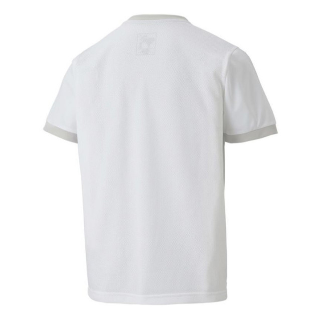 Puma Teamgoal 23 jersey voor kinderen/kinderen UTMR78092_white large