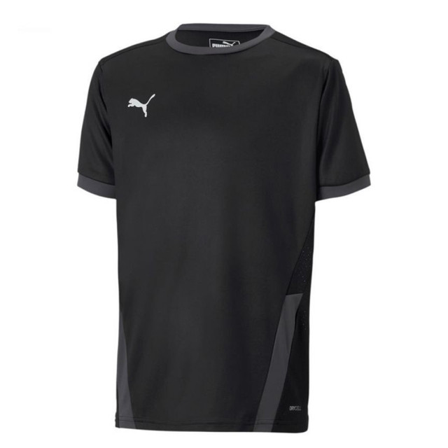 Puma Teamgoal 23 jersey voor kinderen/kinderen UTMR78092_black large