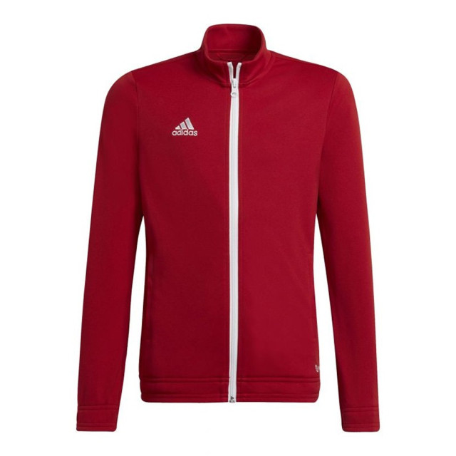 Adidas Kinder/kinder entrada 22 jas UTMR2445_red large