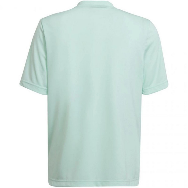 Adidas Kinder/kids entrada 22 grafische trui UTMR1988_greengrey large Adidas Kinder/kids entrada 22 grafische trui UTMR1988_greengrey large