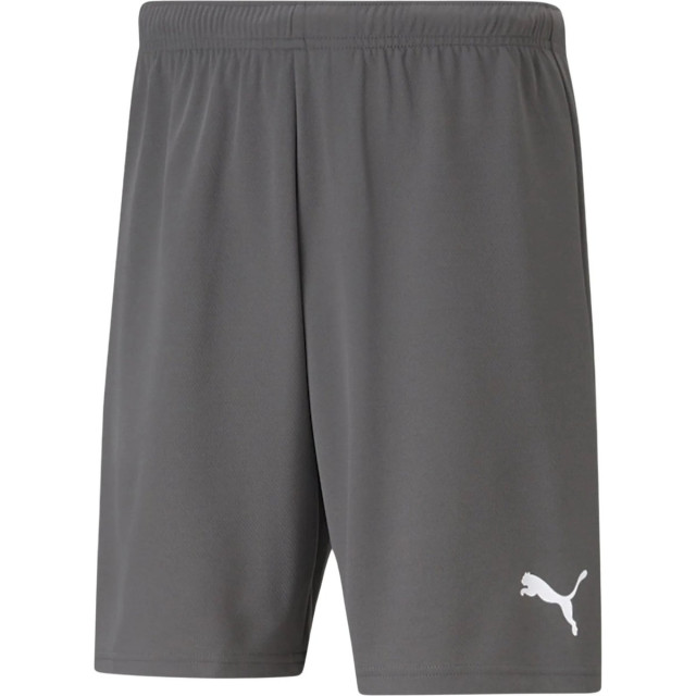 Puma Heren teamrise sweat shorts UTMR1922_grey large