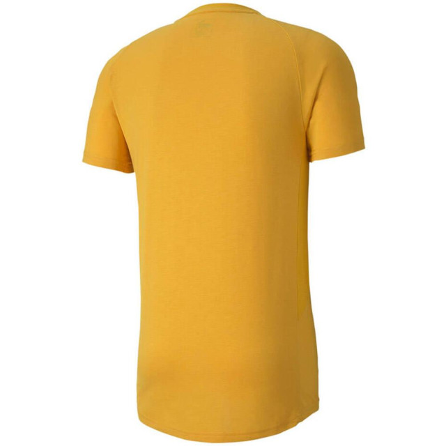 Puma Heren evostripe lite t-shirt UTMR1771_yellow large