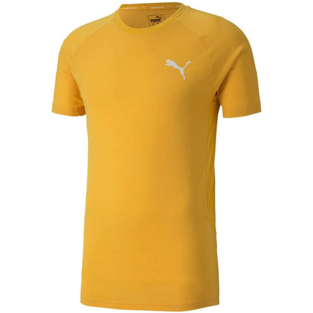Puma Heren evostripe lite t-shirt UTMR1771_yellow large