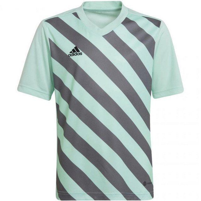Adidas Kinder/kids entrada 22 grafische trui UTMR1988_greengrey large Adidas Kinder/kids entrada 22 grafische trui UTMR1988_greengrey large