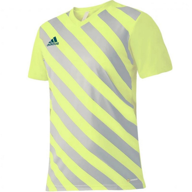Adidas Kinder/kids entrada 22 grafische trui UTMR1988_yellowgrey large Adidas Kinder/kids entrada 22 grafische trui UTMR1988_yellowgrey large