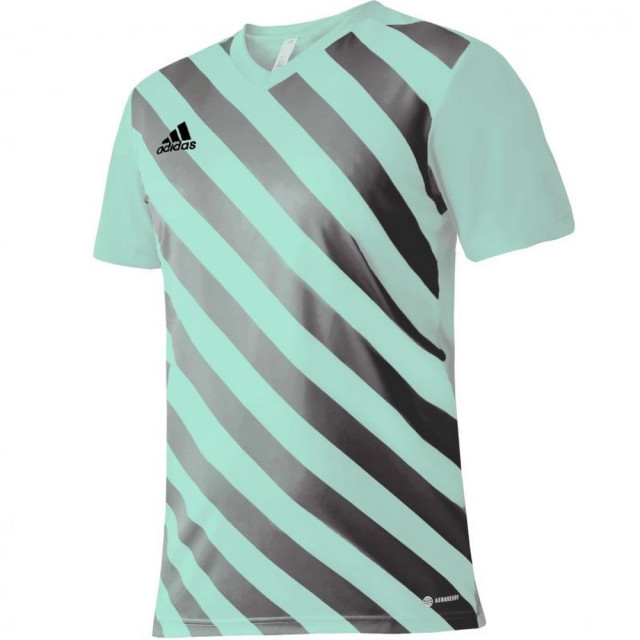 Adidas Kinder/kids entrada 22 grafische trui UTMR1988_greengrey large Adidas Kinder/kids entrada 22 grafische trui UTMR1988_greengrey large