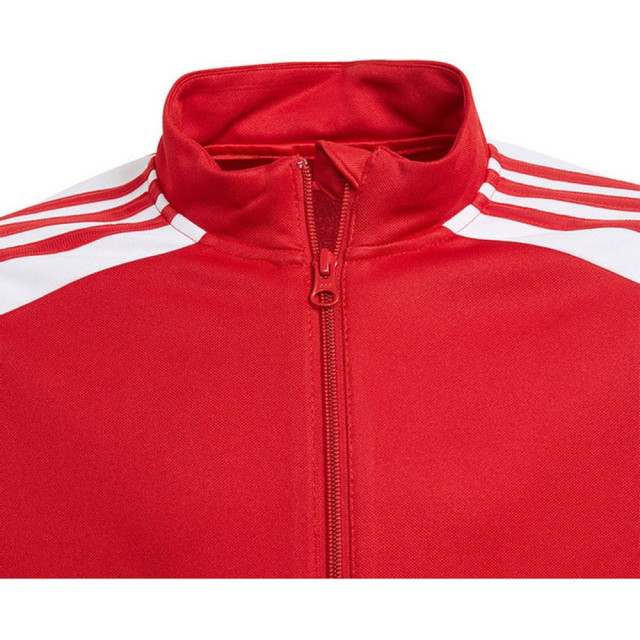 Adidas Heren squadra 21 presentatiejas UTMR2219_red large Adidas Heren squadra 21 presentatiejas UTMR2219_red large