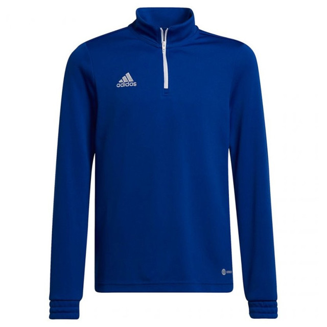 Adidas Kinder/kids entrada 22 trainings top UTMR2263_blue large