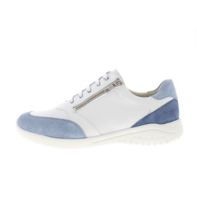 Solidus Kyle 60012-80736 large