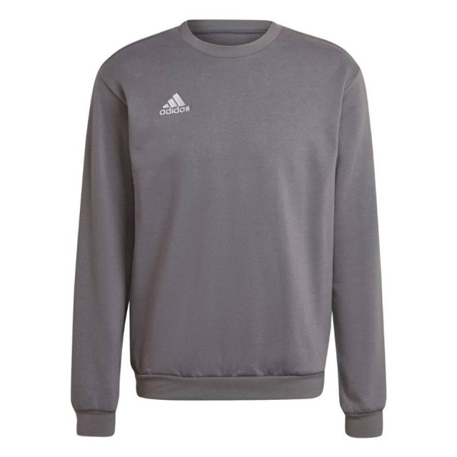 Adidas Heren entrada 22 sweatshirt UTMR528_greysilver large